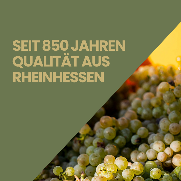 Kloster Eberbach Riesling Classic (12 x 0,75 L)