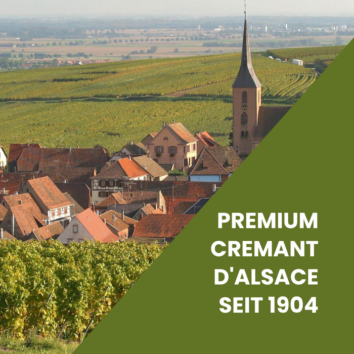 Arthur Metz Cremant d'Alsace Brut (12 x 0,75 L) – Pakete – Arthur Metz