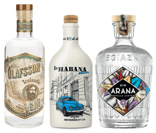 Weltreise Gin Paket – Pakete – Beyond Beverage