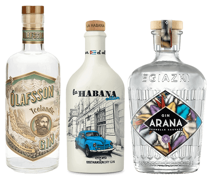 Weltreise Gin Paket – Pakete – Beyond Beverage