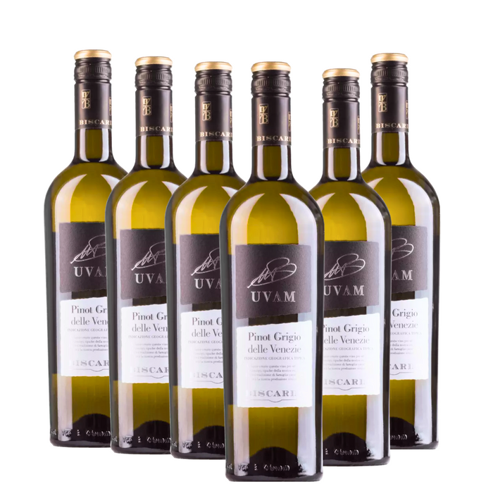 Biscardo Uvam Pinot Grigio delle Venezie 2021 (6 x 0,75 L) – Pakete – Biscardo