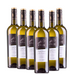 Biscardo Uvam Pinot Grigio delle Venezie 2021 (6 x 0,75 L) – Pakete – Biscardo