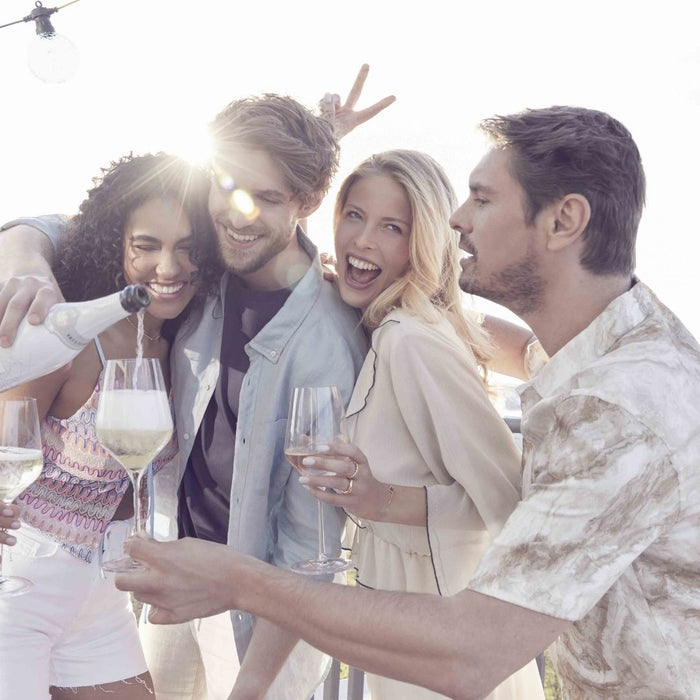 Brut Dargent Chardonnay Ice Demi-Sec (6 x 0,75 L) – Pakete – Brut Dargent