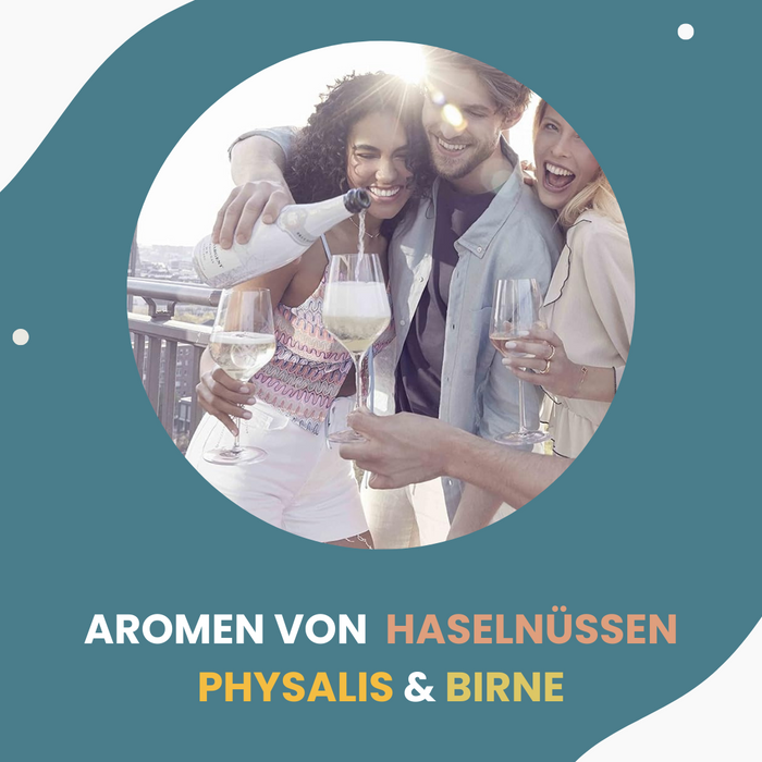 Brut Dargent Ice Chardonnay (5 x 0,75 L) – Pakete – Brut Dargent