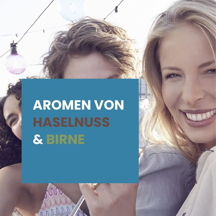 Brut Dargent Ice Chardonnay (9 x 0,75 L) – Pakete – Brut Dargent