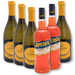 la-gioiosa-aperol-spritz-paket-2x-aperol-1l-4x-prosecco-frizzante-treviso-doc