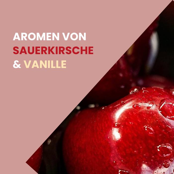 Weinpaket Rosso Nobile Selection (6 x 0,75 L) – Pakete – Rosso Nobile