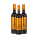 Rosso Nobile al Cioccolata Rosso (3 x 0,75 L) – Pakete – Rosso Nobile