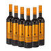 Rosso Nobile al Cioccolata Rosso (6 x 0,75 L) – Pakete – Rosso Nobile