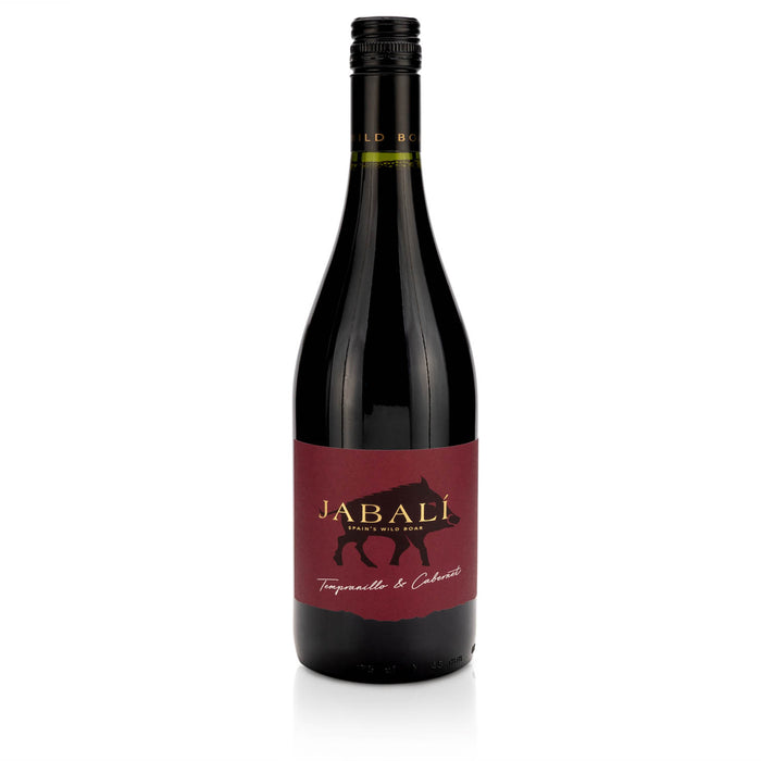 Bodegas Paniza Jabalí Tempranillo Cabernet DO 2021 – Wein – Bodegas Paniza