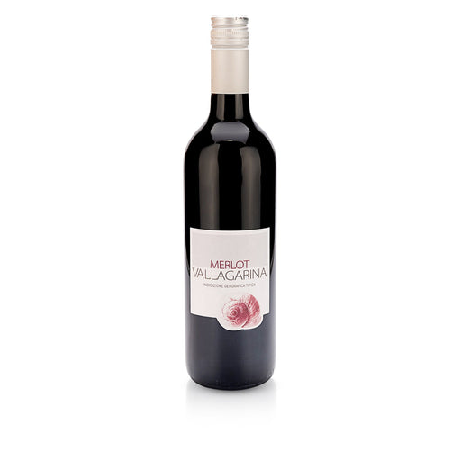 Valdadige Veronese - Merlot Vallagarina IGT - Beyond Beverage