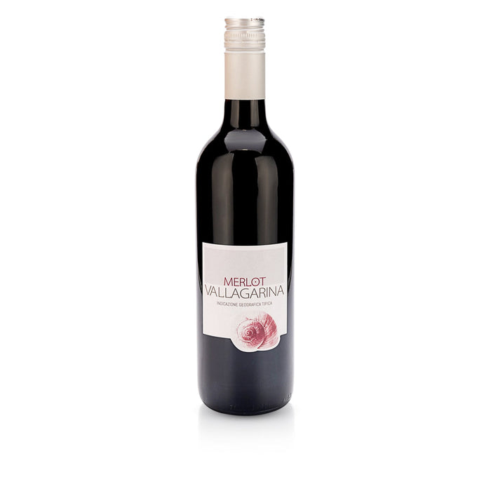 Valdadige Veronese - Merlot Vallagarina IGT - Beyond Beverage