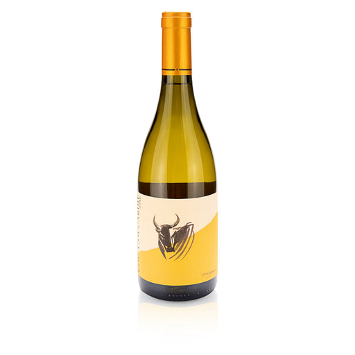 Vignobles Michel Gassier - Lou Coucardié Blanc AOP Costières de Nîmes - Bio - Beyond Beverage