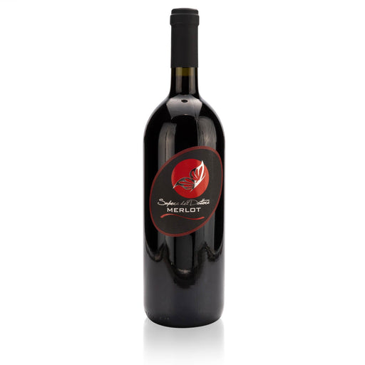 Gino Brisotto Merlot delle Venezie IGT 2022 1 Ltr. – Wein – Gino Brisotto