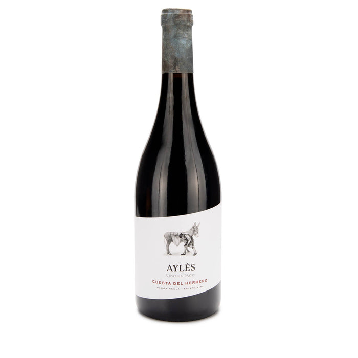 Bodega Pago Aylés - Cuesta del Herrero - Vino de Pago - Bio - Beyond Beverage